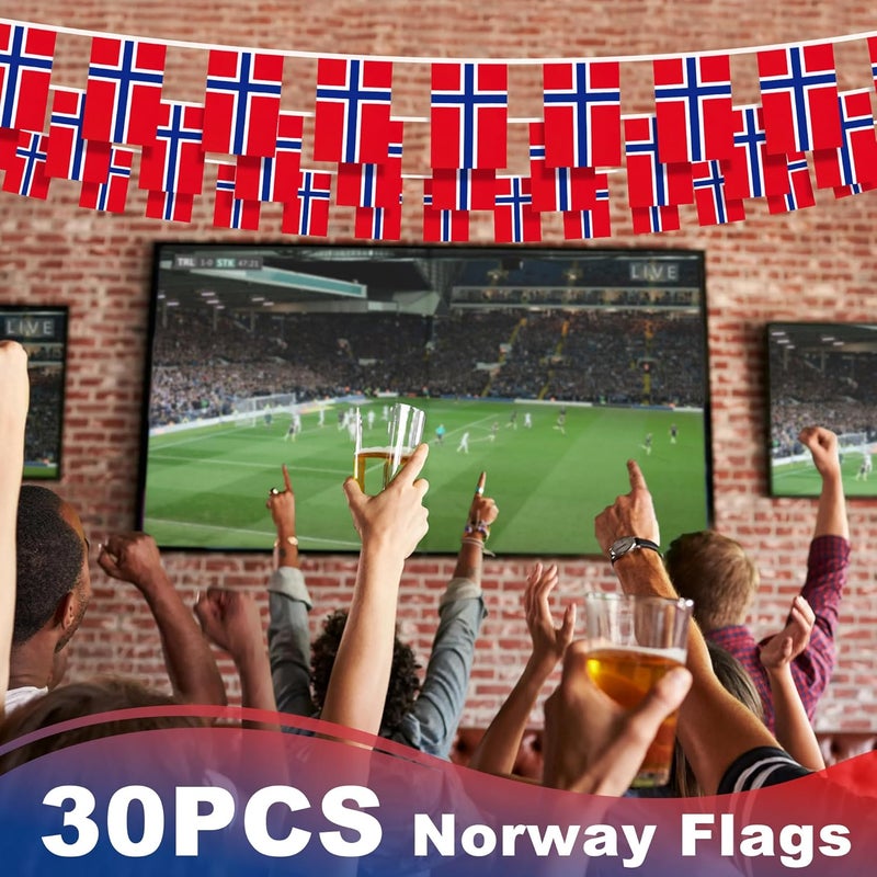 MVPRING Norway String Flag Pennant Banner, Small Mini Norwegian Nordmann Flags Bunting Banner, National Country Decoration for School, Party, Sports Events, Patriotic Festival, 33 Feet 30 Flags - Image 5